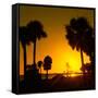 Silhouette Palm Trees at Sunset-Philippe Hugonnard-Framed Stretched Canvas