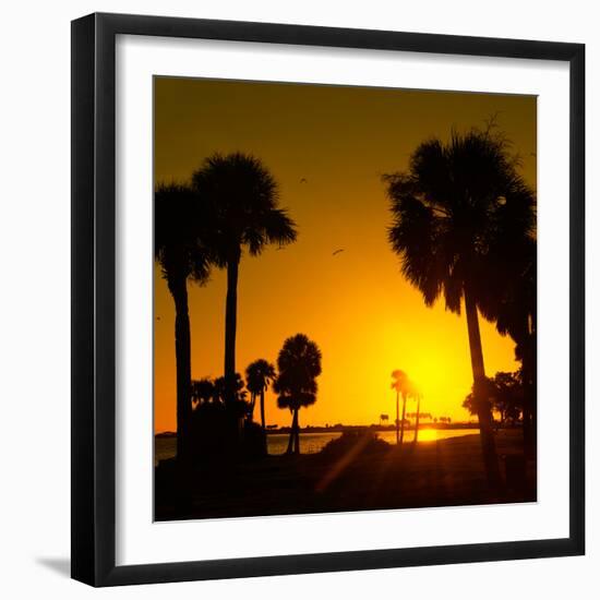 Silhouette Palm Trees at Sunset-Philippe Hugonnard-Framed Photographic Print