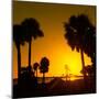 Silhouette Palm Trees at Sunset-Philippe Hugonnard-Mounted Photographic Print