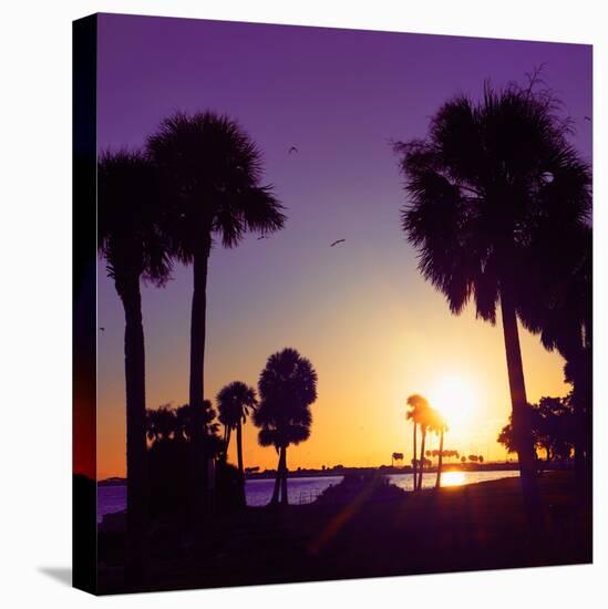 Silhouette Palm Trees at Sunset-Philippe Hugonnard-Stretched Canvas