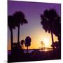 Silhouette Palm Trees at Sunset-Philippe Hugonnard-Mounted Photographic Print