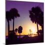 Silhouette Palm Trees at Sunset-Philippe Hugonnard-Mounted Photographic Print