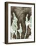 Silhouette Reversal I-Jennifer Goldberger-Framed Art Print