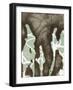 Silhouette Reversal I-Jennifer Goldberger-Framed Art Print