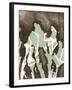 Silhouette Reversal II-Jennifer Goldberger-Framed Art Print