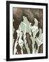 Silhouette Reversal II-Jennifer Goldberger-Framed Art Print