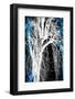 Silhouette with Blue-Ursula Abresch-Framed Photographic Print