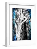 Silhouette with Blue-Ursula Abresch-Framed Photographic Print
