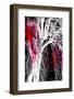 Silhouette with Red-Ursula Abresch-Framed Photographic Print