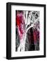 Silhouette with Red-Ursula Abresch-Framed Photographic Print