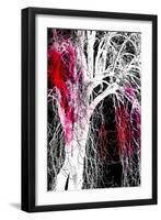 Silhouette with Red-Ursula Abresch-Framed Photographic Print