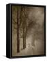 Silhouette-Peter Polter-Framed Stretched Canvas