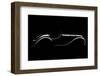 Silhouette-Alvaro Perez-Framed Photographic Print