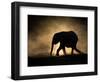 SILHOUETTE-Jaco Marx-Framed Photographic Print