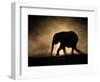 SILHOUETTE-Jaco Marx-Framed Photographic Print