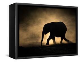 SILHOUETTE-Jaco Marx-Framed Stretched Canvas