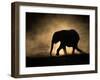 SILHOUETTE-Jaco Marx-Framed Photographic Print