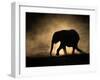 SILHOUETTE-Jaco Marx-Framed Photographic Print