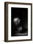 Silhouette-Aledanda-Framed Photographic Print