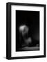 Silhouette-Aledanda-Framed Photographic Print