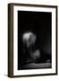 Silhouette-Aledanda-Framed Photographic Print