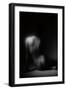 Silhouette-Aledanda-Framed Photographic Print