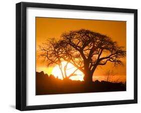 Silhouetted Baobab Trees, Kubu Island on Makgadikgadi Pan, Kalahari Desert, Botswana-Paul Souders-Framed Premium Photographic Print