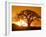 Silhouetted Baobab Trees, Kubu Island on Makgadikgadi Pan, Kalahari Desert, Botswana-Paul Souders-Framed Premium Photographic Print