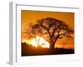 Silhouetted Baobab Trees, Kubu Island on Makgadikgadi Pan, Kalahari Desert, Botswana-Paul Souders-Framed Photographic Print