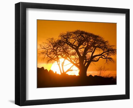 Silhouetted Baobab Trees, Kubu Island on Makgadikgadi Pan, Kalahari Desert, Botswana-Paul Souders-Framed Premium Photographic Print