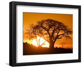 Silhouetted Baobab Trees, Kubu Island on Makgadikgadi Pan, Kalahari Desert, Botswana-Paul Souders-Framed Premium Photographic Print