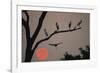 Silhouetted Birds-Staffan Widstrand-Framed Giclee Print