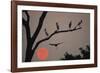 Silhouetted Birds-Staffan Widstrand-Framed Giclee Print