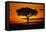 Silhouetted Camelthorn Tree at Sunset-Paul Souders-Framed Stretched Canvas