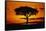 Silhouetted Camelthorn Tree at Sunset-Paul Souders-Framed Stretched Canvas