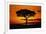 Silhouetted Camelthorn Tree at Sunset-Paul Souders-Framed Photographic Print