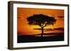 Silhouetted Camelthorn Tree at Sunset-Paul Souders-Framed Photographic Print