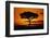 Silhouetted Camelthorn Tree at Sunset-Paul Souders-Framed Photographic Print