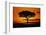 Silhouetted Camelthorn Tree at Sunset-Paul Souders-Framed Photographic Print