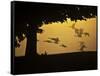 Silhouetted Canada Geese, Branta Canadensis, in Flight-Alex Saberi-Framed Stretched Canvas