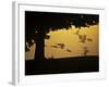 Silhouetted Canada Geese, Branta Canadensis, in Flight-Alex Saberi-Framed Photographic Print