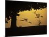 Silhouetted Canada Geese, Branta Canadensis, in Flight-Alex Saberi-Mounted Photographic Print