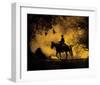 Silhouetted Cowboy and Birds-null-Framed Art Print