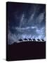 Silhouetted Cowboys During Round Up at Trinchera Ranch-Loomis Dean-Stretched Canvas
