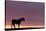 Silhouetted Dartmoor Pony (Equus Caballus) at Sunrise, Combestone Tor, Dartmoor Np, Devon, UK-Ross Hoddinott-Stretched Canvas
