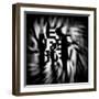 Silhouetted Figures-Rory Garforth-Framed Photographic Print