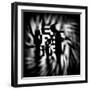 Silhouetted Figures-Rory Garforth-Framed Photographic Print