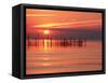 Silhouetted Fishing Net at Sunset-Lowell Georgia-Framed Stretched Canvas