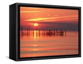 Silhouetted Fishing Net at Sunset-Lowell Georgia-Framed Stretched Canvas