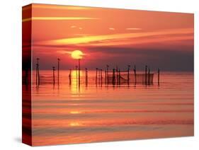 Silhouetted Fishing Net at Sunset-Lowell Georgia-Stretched Canvas